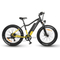 Classic And Economical Fat Tire Off Road Electric Bike for Wholesale