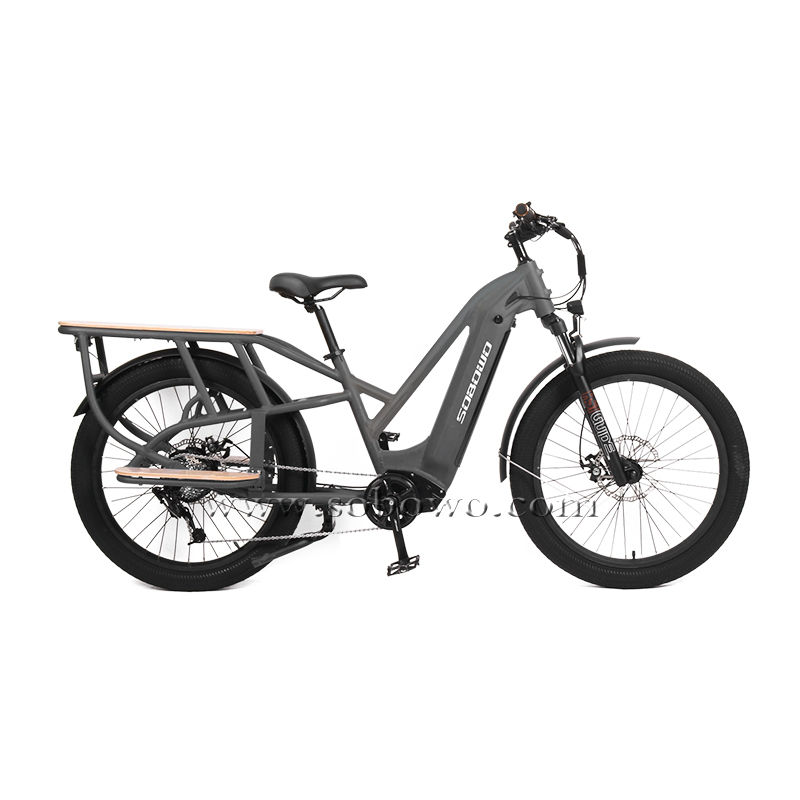 Model C19-3 New Design Electric Cargo Bike with Integrated Battery for City Adventures