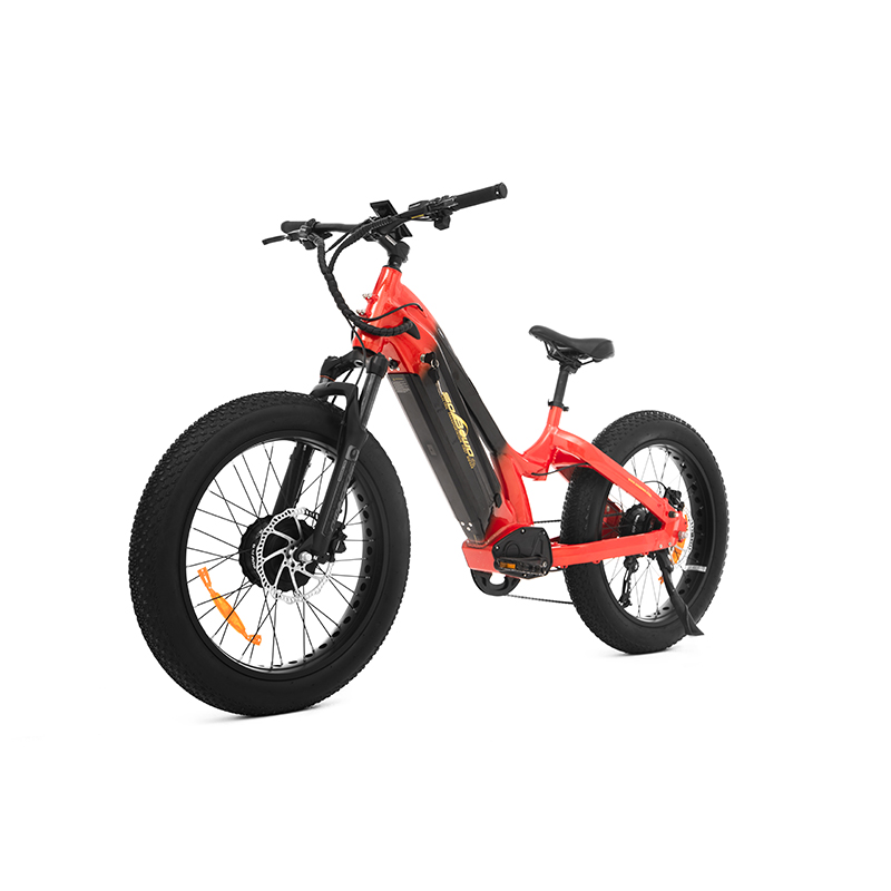 Compact and Powerful Options 24-Inch Fat Tire Electric Bikes for Short Riders TwinTread - Sobowo