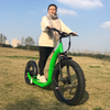 SOBOWO S78 750 Watts Powerful Hub Motor with Hidden Battery Fat Tyre Electric Scooters 