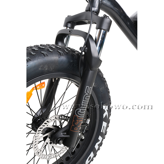 The Best Electric Fat Bike for Teenagers