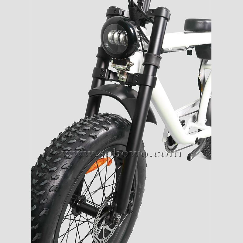 fat tire electric bicycle for sale