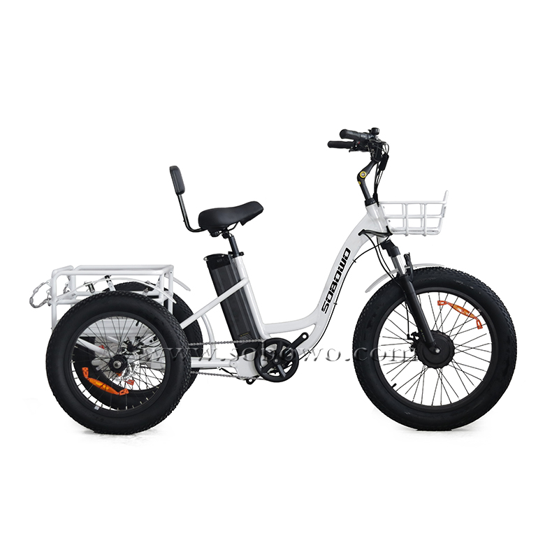  Sobowo Model N4-F Front Drive Motor Fat Tire Electric Tricycle for Adults