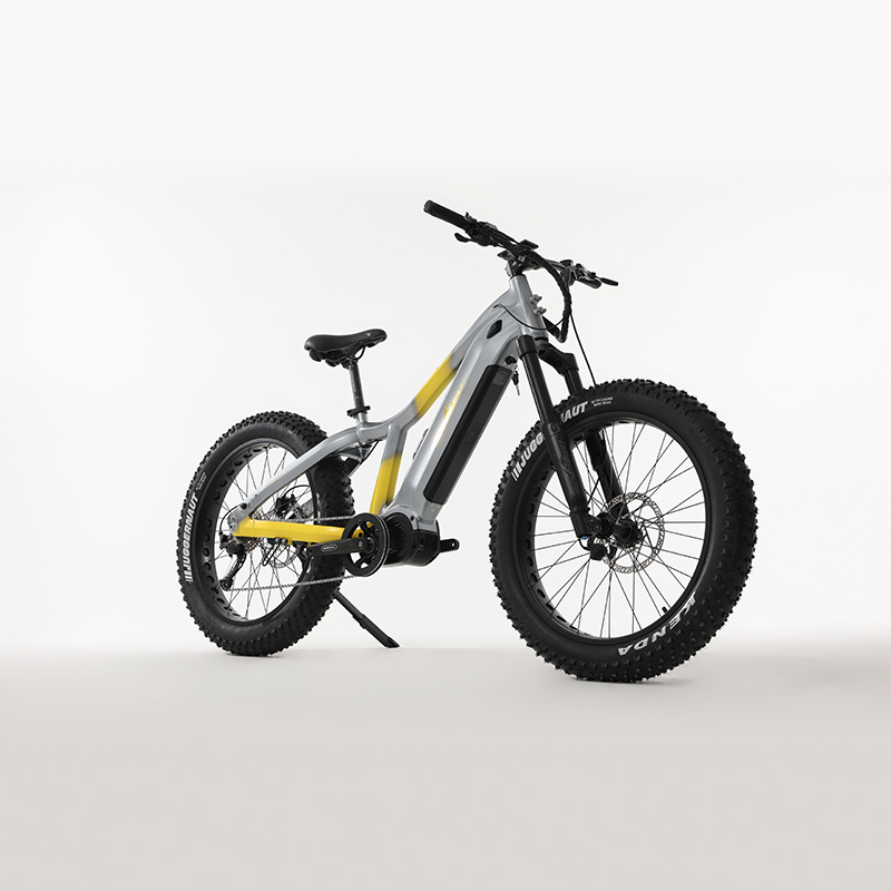 The Best Mid Motor 1000 Watt Fat Tire Electric Bike for Adventuring W04 - Sobowo