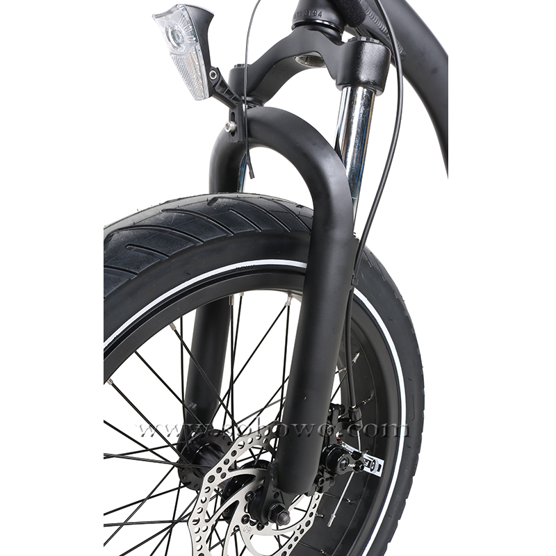 20 Inch Fat Tire Folding Electric Bike 