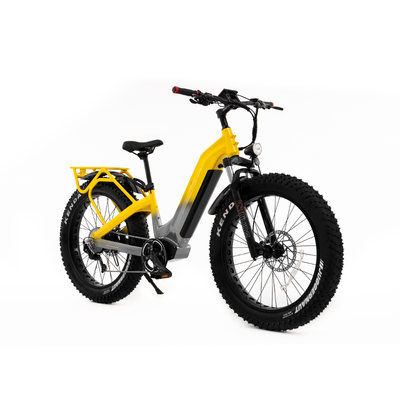 Premium All-terrain 750W 960Wh Electric Fat Bike UrbanCruiser Step Thru - Sobowo